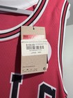 Chicago Bulls DeMar DeRozan #11 Jersey Nike Icon Edition Size 48 Large — photo 3