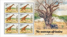 CENTRAL AFRICAN 2025 MS6V - AFRICAN WILDLIFE - GIRAFFE GIRAFFES GIRAFES - MNH