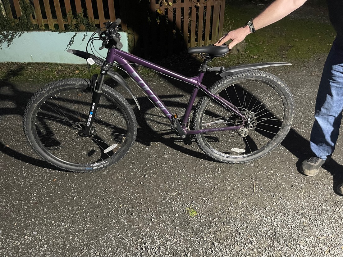 Carrera Mountain Bike
