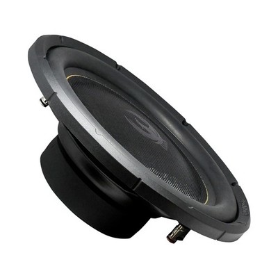 25cm 10Zoll Slim Subwoofer Bass Kiste Lautsprecher Car Hifi 300W RMS 2 x 2Ohm