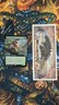 MTG Leaf-Crowned Visionary Extended Art Foil 414 DMU NM/M 💀DeathCoronaNerd💀