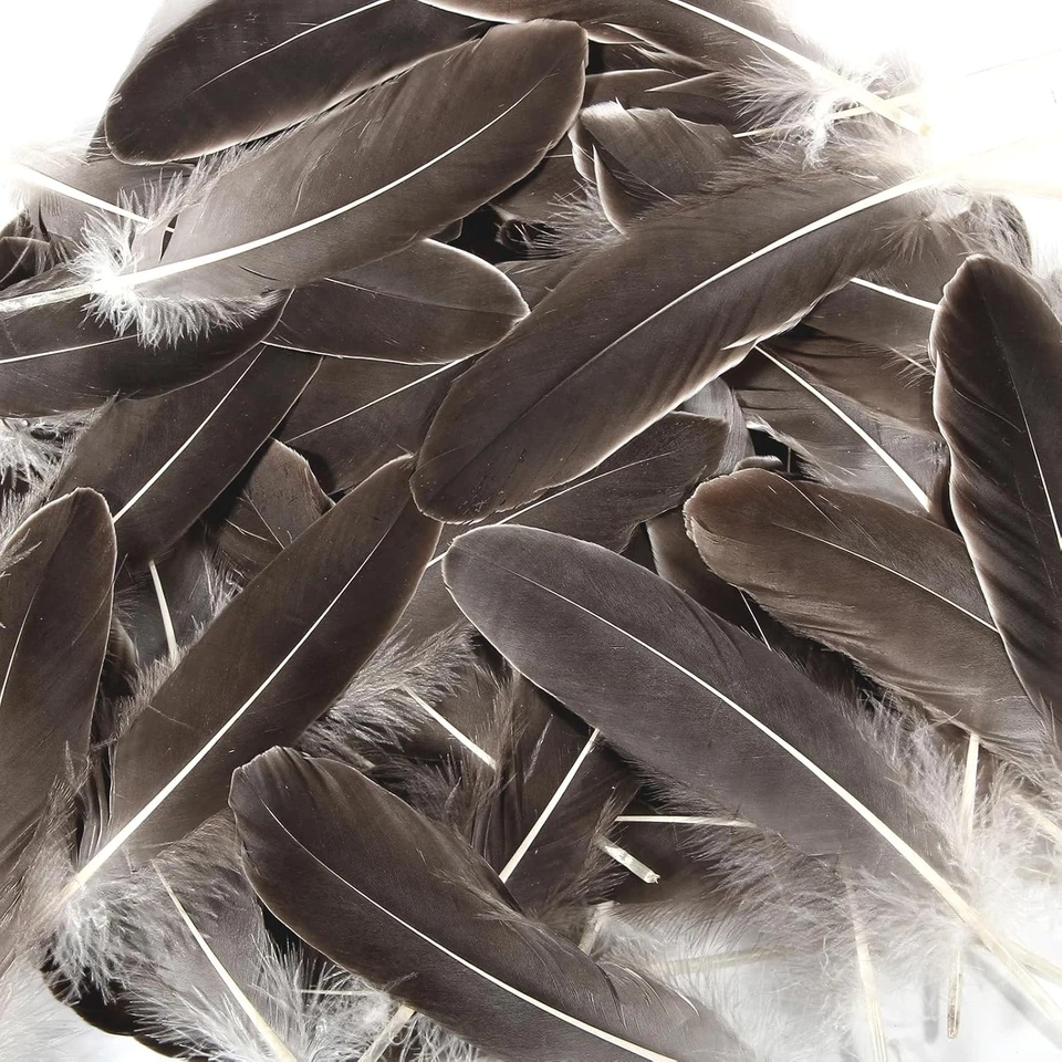 120pcs Natural Gray Natural Goose Feathers Natural Bulk 6-8 inch 15-20cm for Cra - Image 3 of 4
