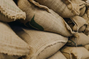 2 POUNDS green coffee beans – Your Choice of Beans – MANY to choose from