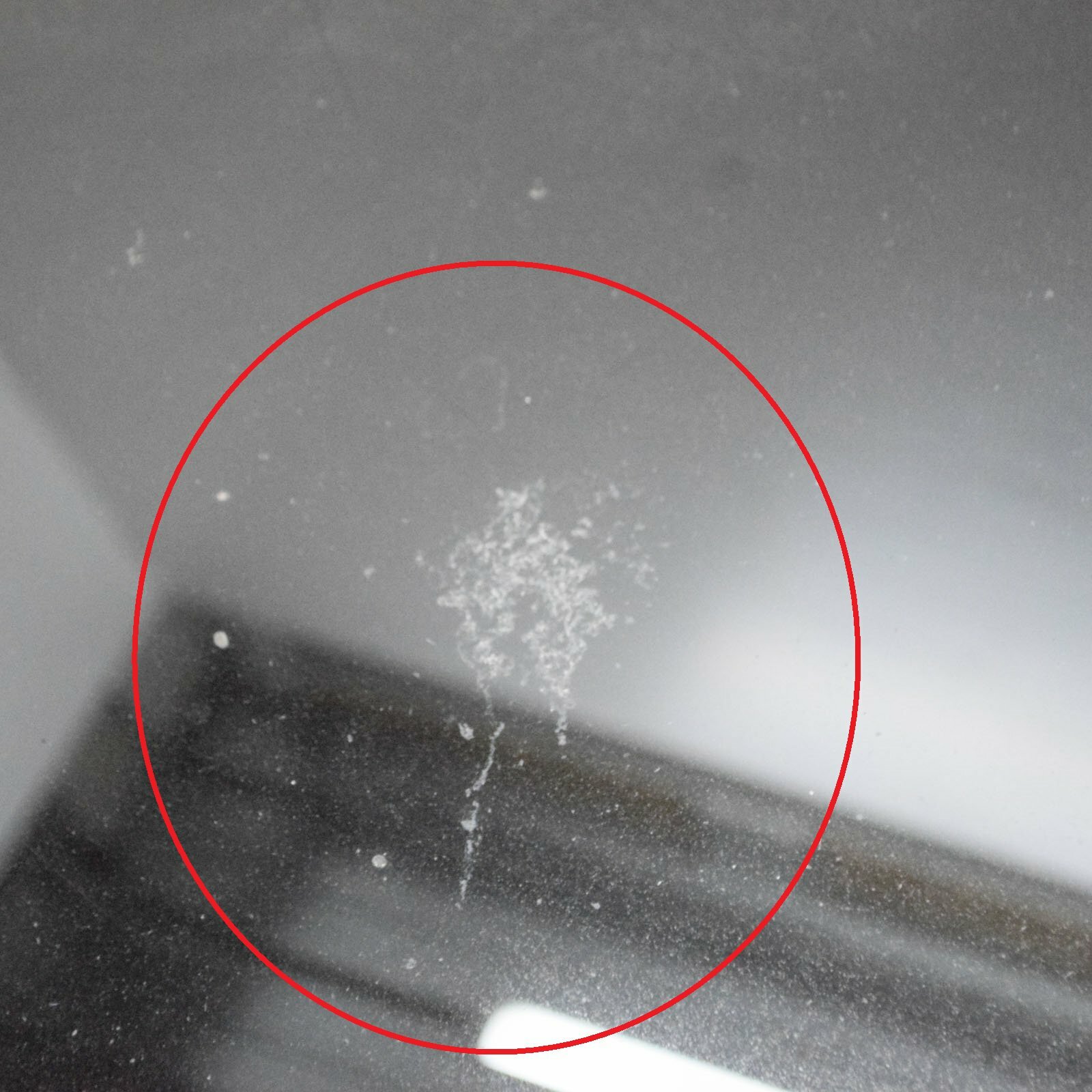 TESLA MODEL 3 Sunroof Tinted Glass 148715000B Electricity 2019 eBay