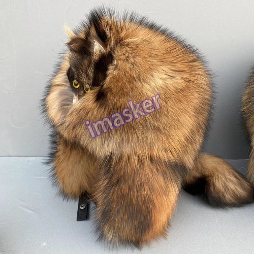 Sombrero de piel de mapache natural real completamente cubierto para hombre sombrero ruso Ushanka sombrero trampero - Imagen 21 de 24