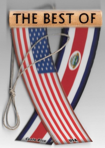 Rear view mirror car flags Costa Rica and USA unity flagz for inside the car - Picture 3 of 8