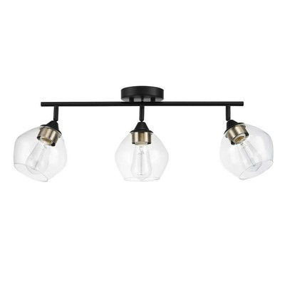 Globe Electric Track Lighting Kit 24.8''X5.9''X10'' Ceiling Mounted Matte Black