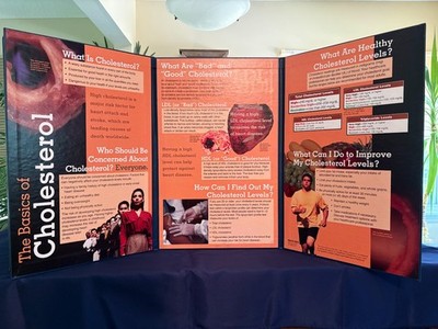 Cholesterol Education Display - Health Edco Education Boards (Used; 4)