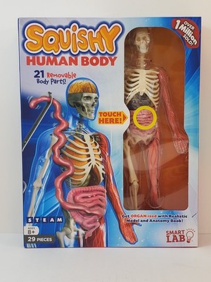 SmartLab Squishy Human Body 21 Removable Body Parts Sealed 