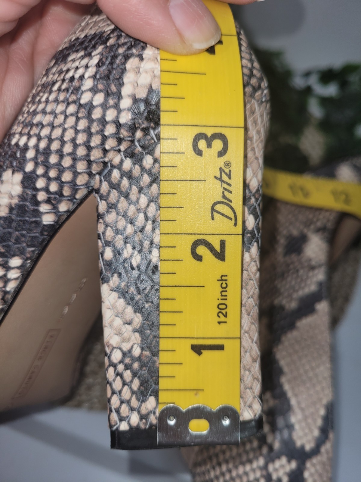 VINCE CAMUTO Snake Python Candera Triangle Block … - image 10