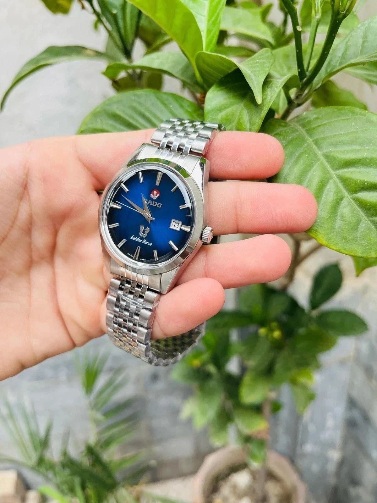 Automatic Men's Golden Horse Watch Blue Dial Rado - vintagewatches.pk