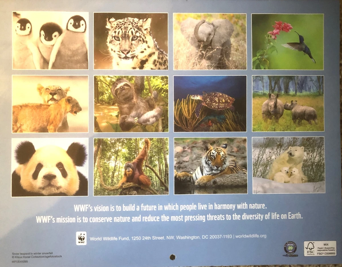 2024 WORLD WILDLIFE FUND WALL CALENDAR NEW | eBay