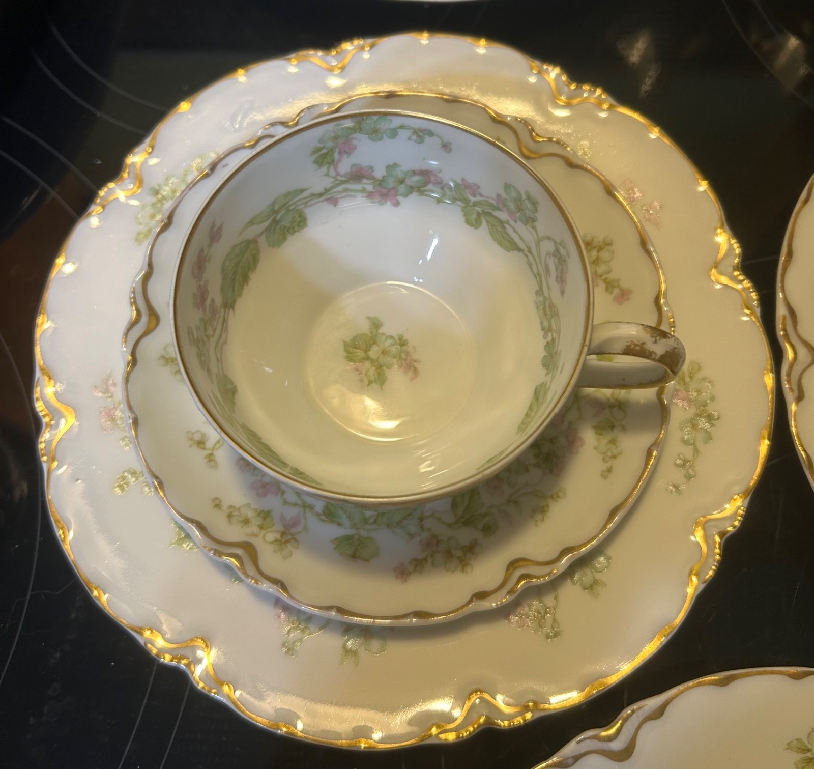 Haviland & Co Limoges France "THE CHARONNE" Luncheon Set 1920