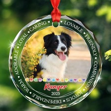 Custom Dog Memorial Glass Ornament, Personalized Pet Remembrance Gift