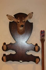 Button Buck Mule Deer Head Shoulder Mount Taxidermy Hat Rack Whitetail