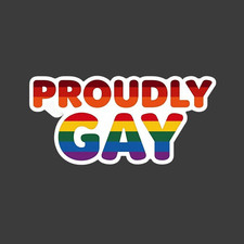 Gay pride sticker vinyl decal equality awareness support rainbow proudly gay