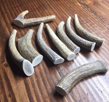 SALE  1 Pound Elk Antler Dog Chews-S/M Dogs-Free Shipping 