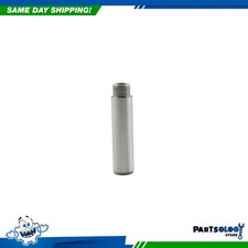 Dnj Vg1169 Valve Guide For 11-22 Chrysler Dodge Jeep Ram Volkswagen 3.6l Dohc Dnj Vg1169 Valve Guide For 11-22 Chrysler Dodge Jeep Ram Volkswagen 3.6l Dohc