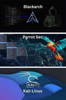 Cyber Security USB   32GB Kali Linux + ParrotSec + BlackArch   Bootable All In 1