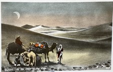 Egyptian Desert At the close of day at night Camels Arabs Vintage Postcard