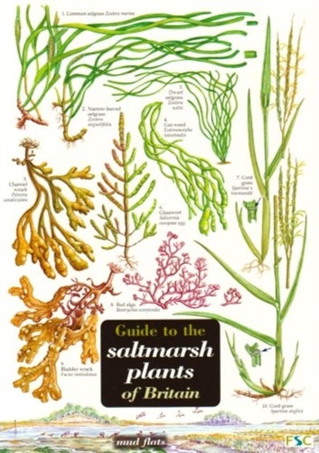 Guide to the Saltmarsh Plants of Britain (Wallchart)