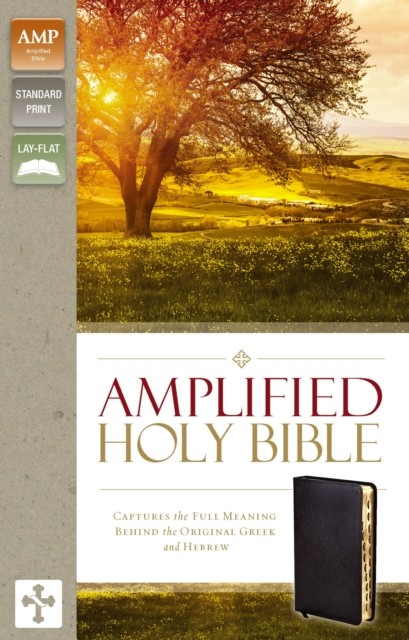 Riachristiecollections Amplified Holy Bible Bonded Leather Black Thumb Indexed Captures The Full Meaning Behind The Origin - Image 6