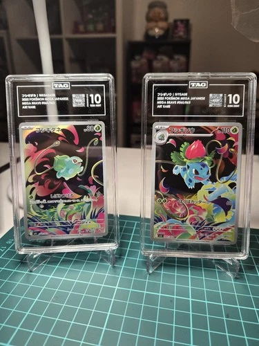 TAG 10 GEM MINT POKEMON 2025 IVYSAUR 065/063 BULBASAUR 064/063