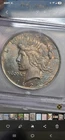 1923 Peace Silver Dollar BU - Nice Colorful Rainbow Toning