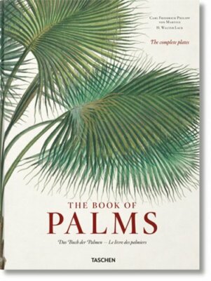 Martius. the Book of Palms by Dr. Lack, H Walter: New