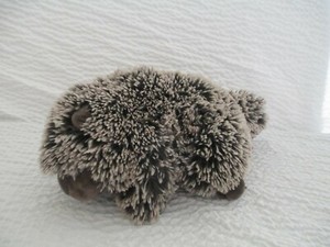 wild republic porcupine