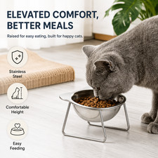 Elevated Cat Bowl Tilted Raised Stainless Steel Pet Food Water Dish with Stand
