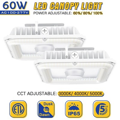 2Pack 60W LED Canopy Light Outdoor Parking Lot Gas Station Lighting Dusk To Dawn