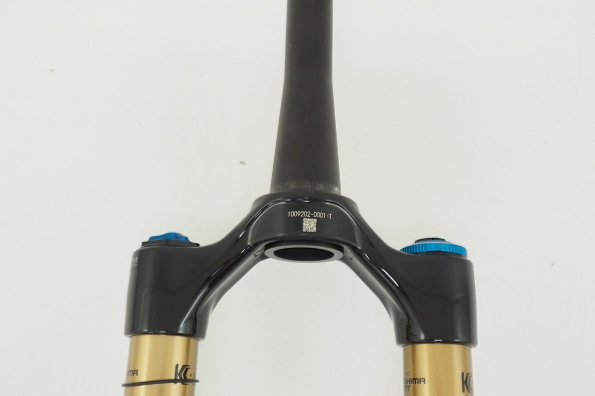 FOX FLOAT36 FACTORY 29インチ 160ミリトラベル NEW! 2023 Fox Factory 36 Float 29 160mm Grip 2 Mountain Bike