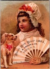 Antique Victorian Trade Card- J.M. Childs - Cat - Utica NY New Year 1883 
