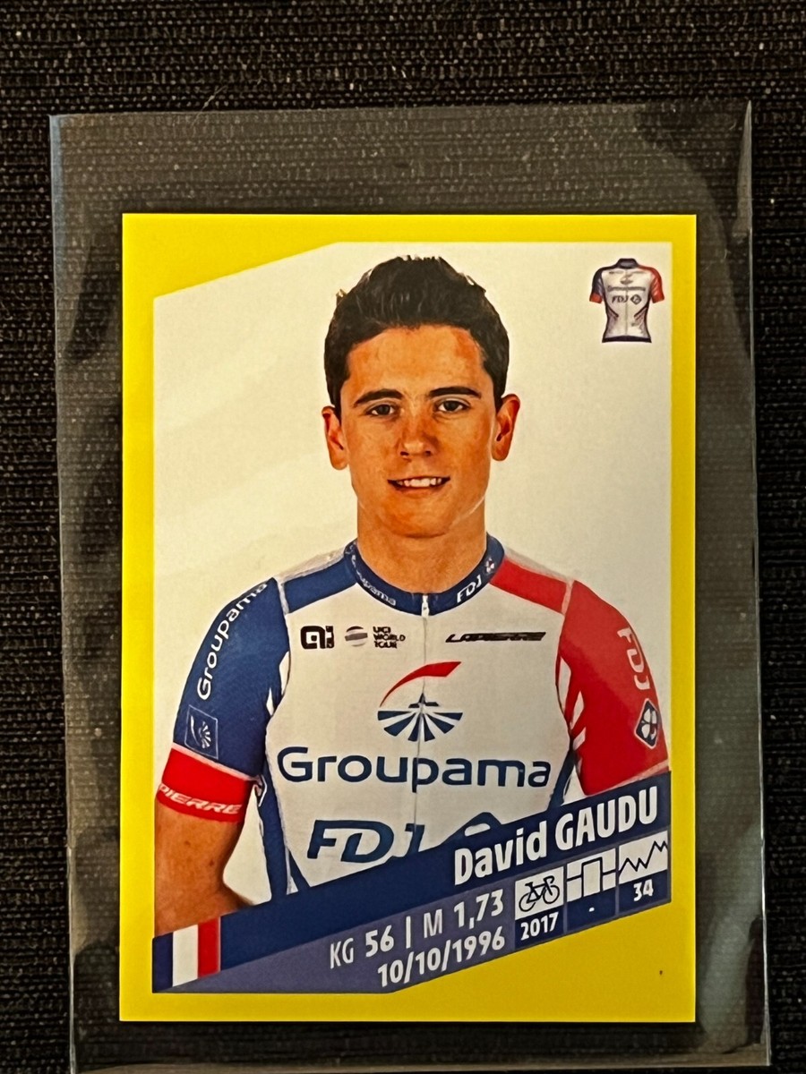 STICKER PANINI DAVID GAUDU FDJ 161 TOUR DE FRANCE 2019 ORIGINAL