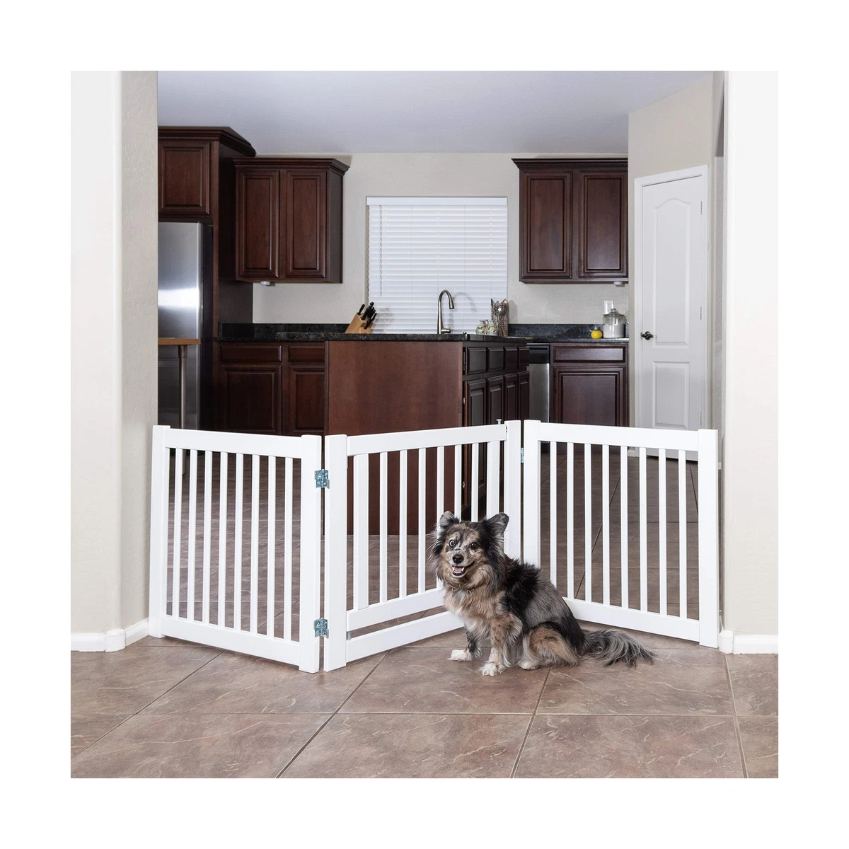 Primetime hotsell petz gate