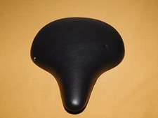 eBay Auction Picture