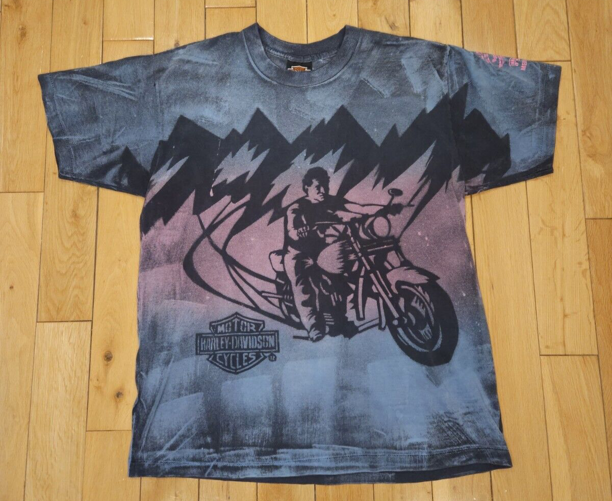 Vtg HARLEY DAVIDSON Motorcycles HOLOUBEK Single Stitch T Shirt