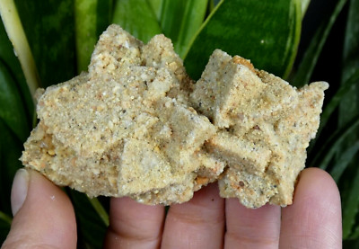 Calcit Pseudomorphose aus gemahlenem Sandstein Cabrerets 7,5 x 4,5 cm Frankreich Mineralien selten