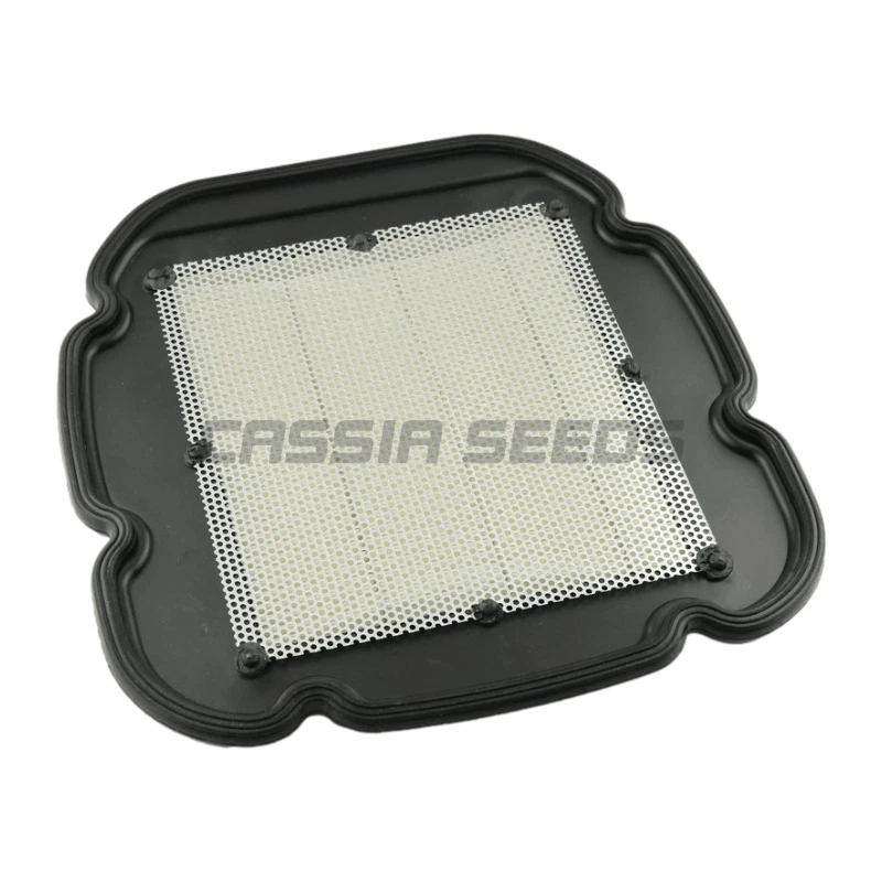 Filtro de aire para Suzuki DL650 V-strom 650 DL650A XT DL1000 Vstrom1000 Foto 2 de 4