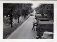 WW2 Photo of Army Trucks and Soldiers on Tree-Lined Road