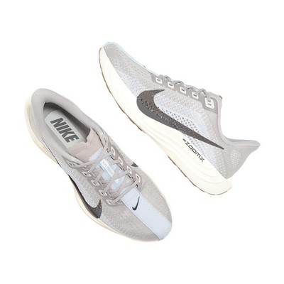 Nike Pegasus Plus College Grey Medium Ash Men Road Running Shoes
