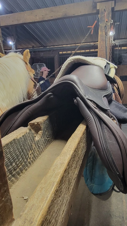 Ovation Explorer AP saddle 17 inch with interchangeable gullet - Image 3 of 4