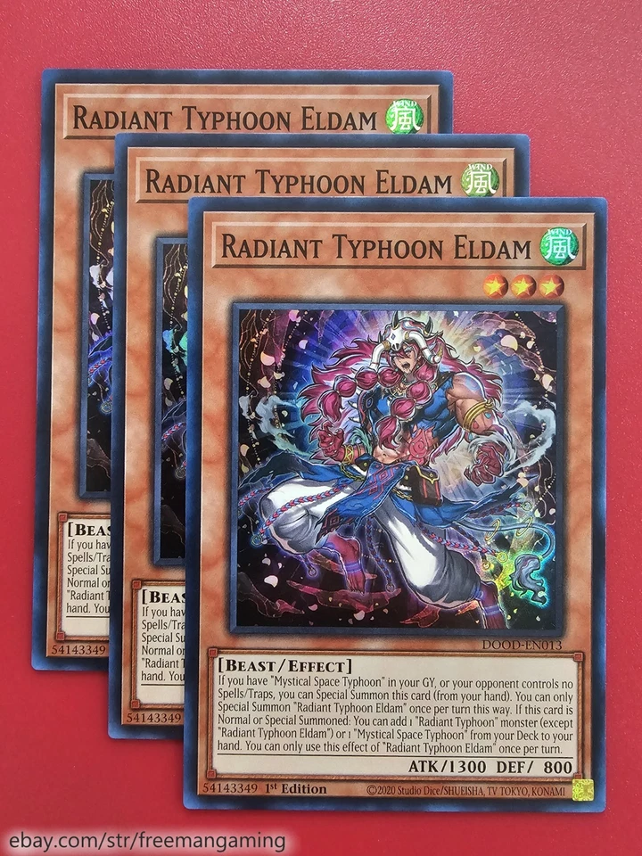 Yugioh Radiant Typhoon Deck Core 18 card DOOD Meghala Eldam Vision Manifestation - Image 3 of 4