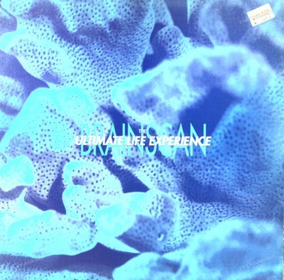 The Ultimate Life Experience - Brainscan Maxi (VG) .