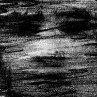 Born Erased - Birds Drink My Blood - Cd - G3Z
