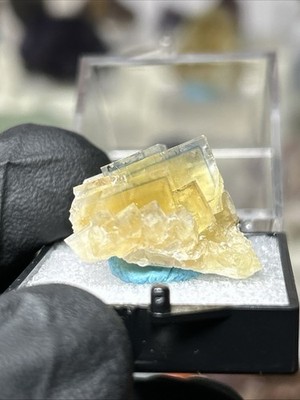Golden Fluorite   La Barre Mine, Puy-de-Dôme, France 2022 Find