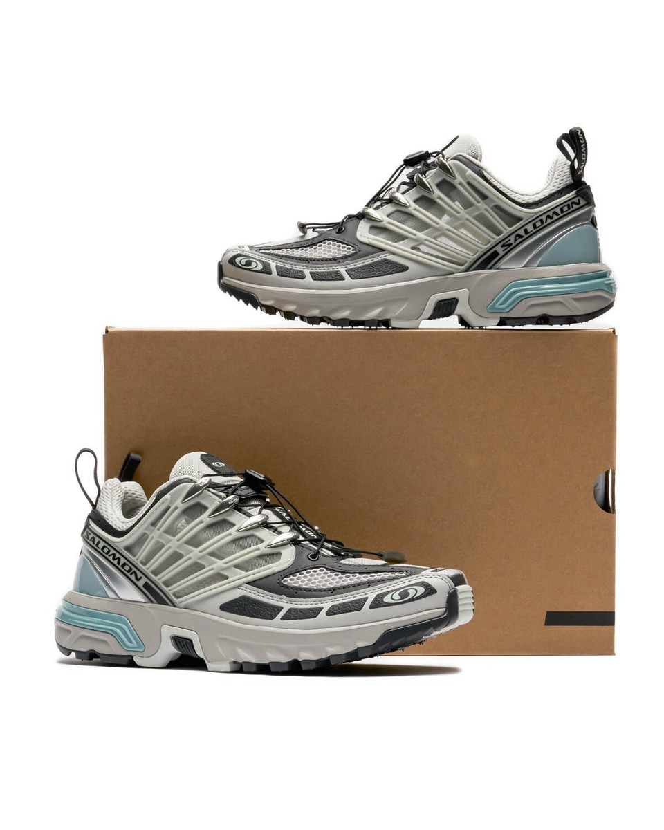 靴 Salomon ACS Pro \