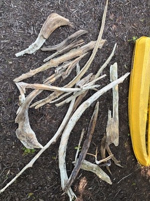Natural Small Aquarium Driftwood for Fish Tanks & Reptile Terrariums   100%