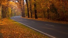 Landscape road fall asphalt fallen leaves Custom Gaming Mat Desk